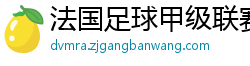 法国足球甲级联赛